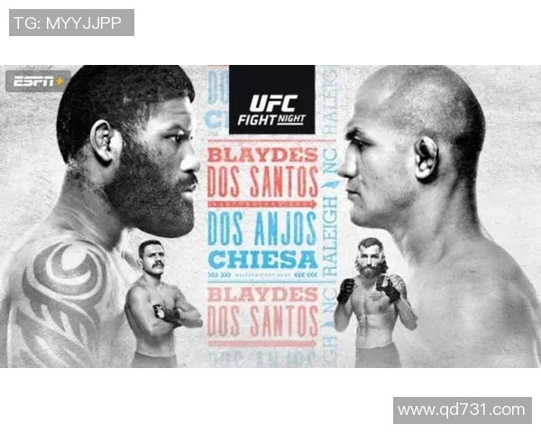 布赖顿与维拉佬牛对决分析及赛前预测全面解读